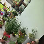 Hotel Jardines De La Llosa