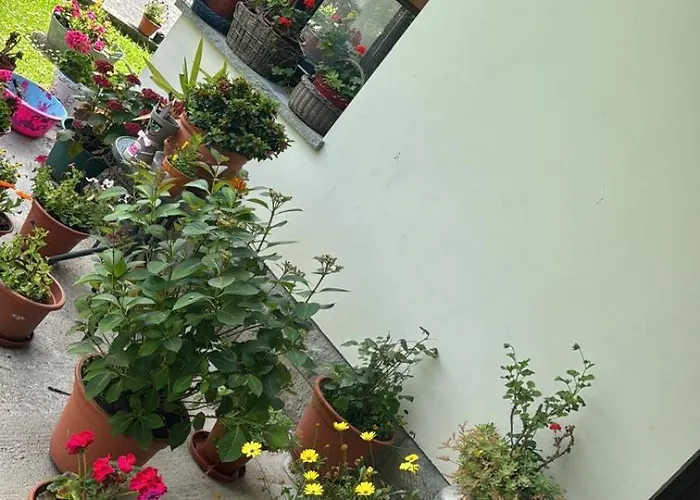 Hotel Jardines De La Llosa